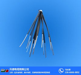 控制電纜選購指南 為何升通電纜與銅陵控制電纜備受關(guān)注